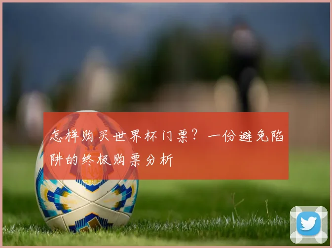 怎样购买世界杯门票?一份避免陷阱的终极购票分析