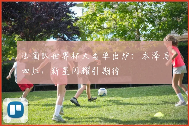 法国队世界杯大名单出炉：本泽马回归，新星闪耀引期待