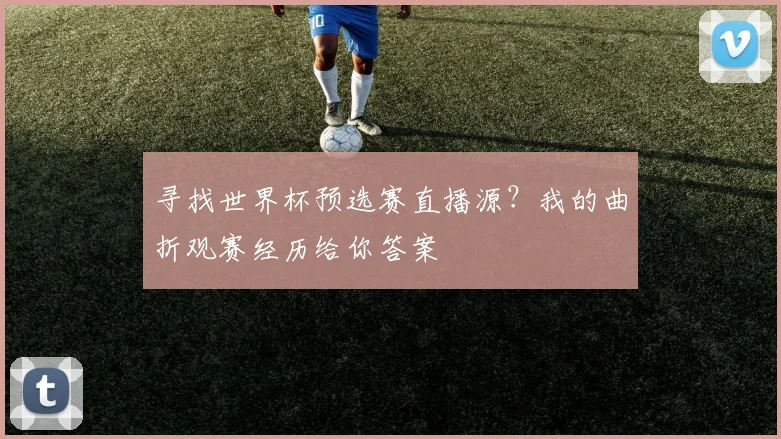 寻找世界杯预选赛直播源?我的曲折观赛经历给你答案