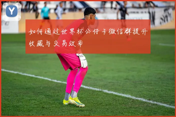 如何通过世界杯公仔卡微信群提升收藏与交易效率